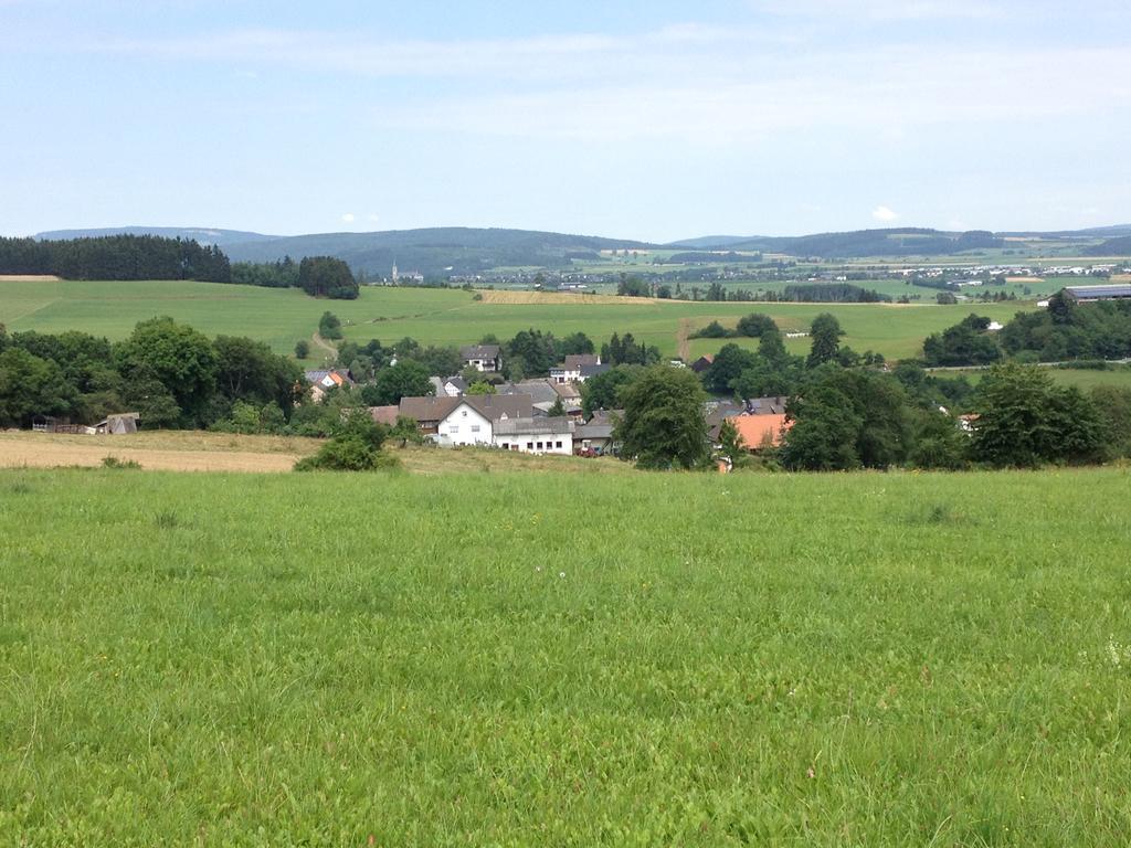 Villa Haus Panoramablick Medebach Exterior foto