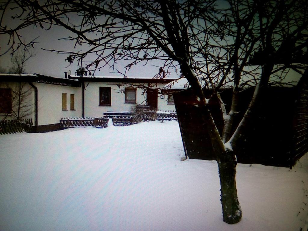 Villa Haus Panoramablick Medebach Exterior foto